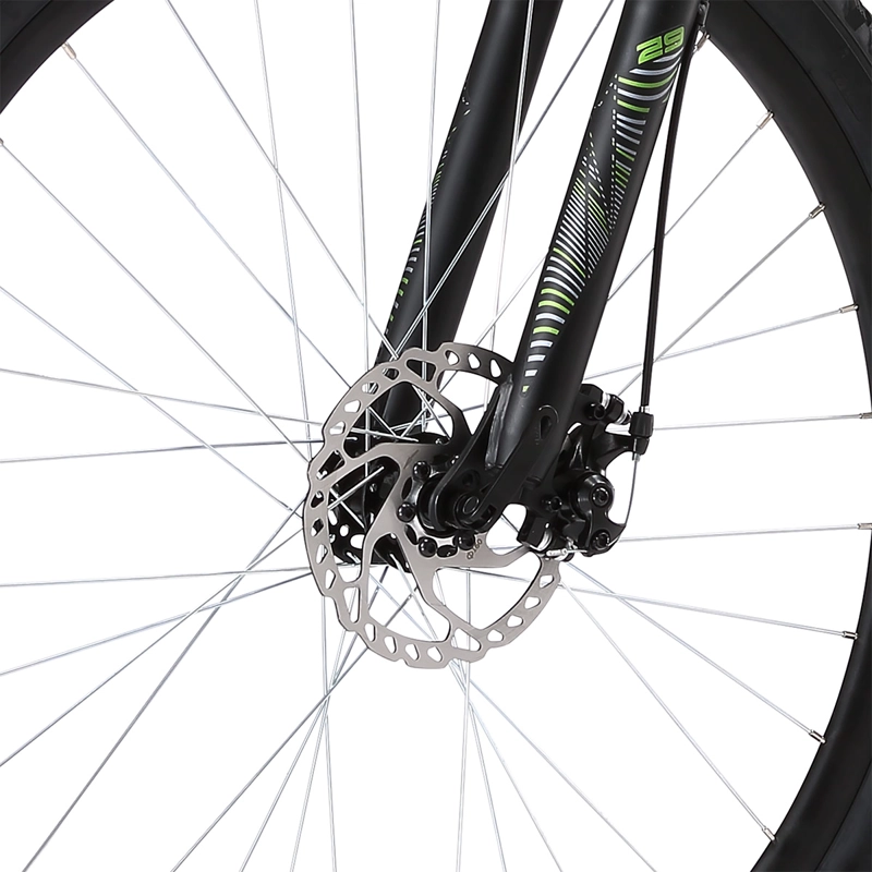 MOUNTAIN BIKE OXFORD BEAST TITANIO TALLA M ARO 29 - 6