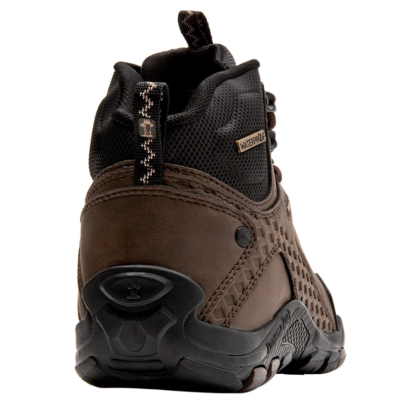 BOTINES HOMBRE PANAMA JACK CAFÉ PJH0121 - 5