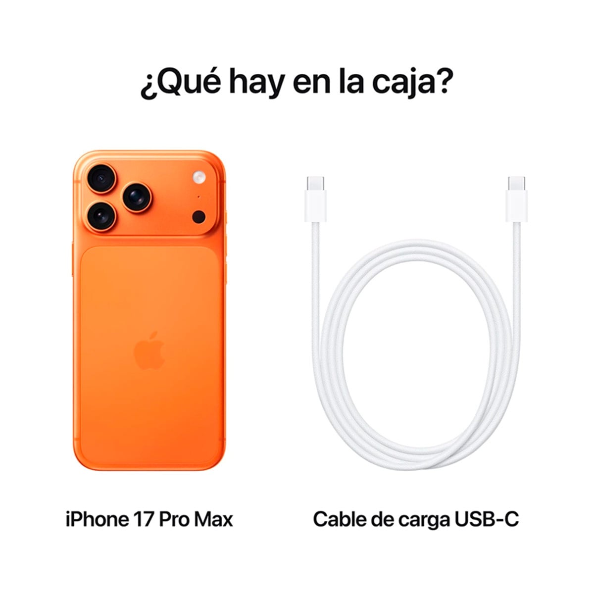 IPHONE 17 PRO MAX 1TB 48MP 6.9" - 8