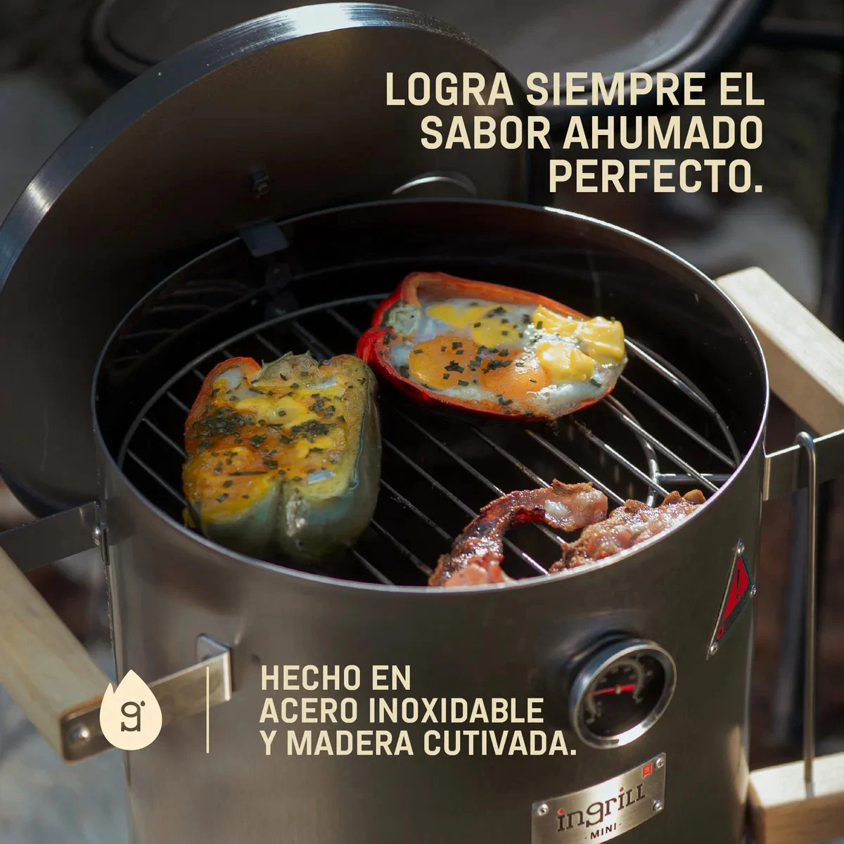 BARRIL PARRILLA AHUMADOR Y ASADOR IN GRILL MINI BASIK PLATEADO - 6