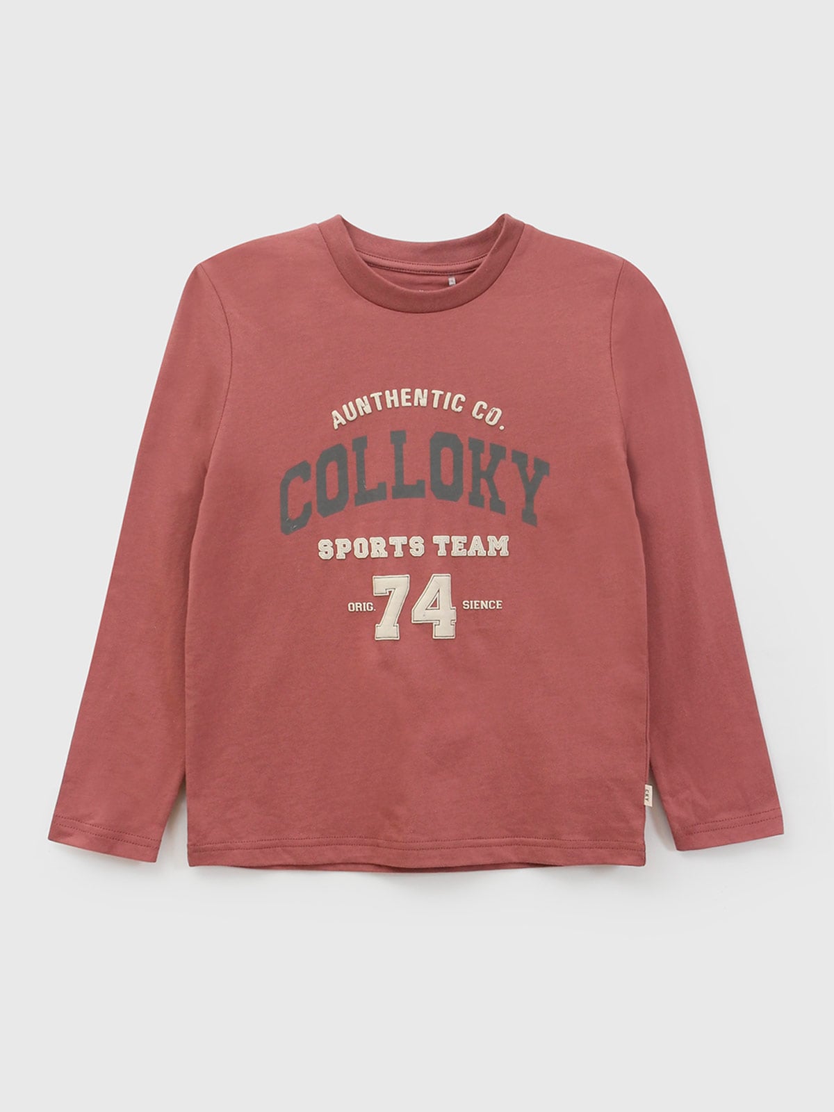 COLLOKY POLERA MANGA LARGA NIÑO COLLOKY