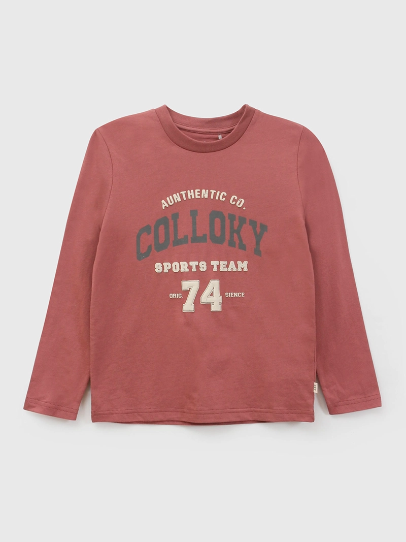 POLERA MANGA LARGA NIÑO COLLOKY
