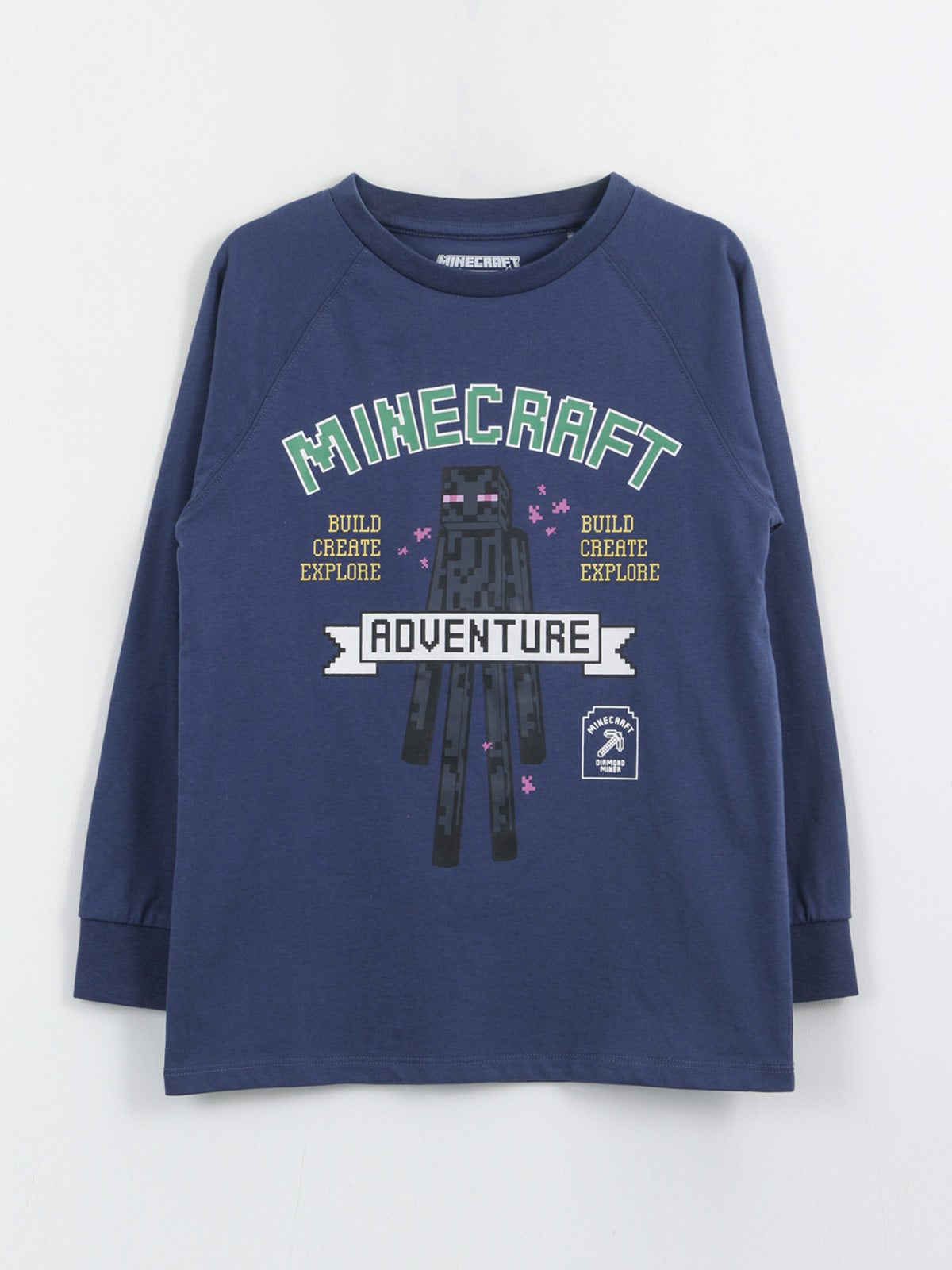 POLERA MANGA LARGA NIÑO MINECRAFT - 1