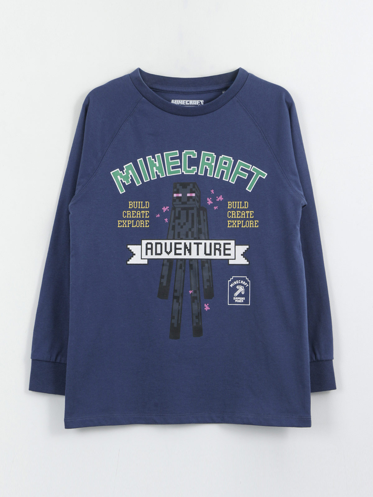 POLERA MANGA LARGA NIÑO MINECRAFT