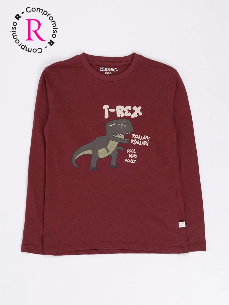 POLERA MANGA LARGA NIÑO HARVEST - 1