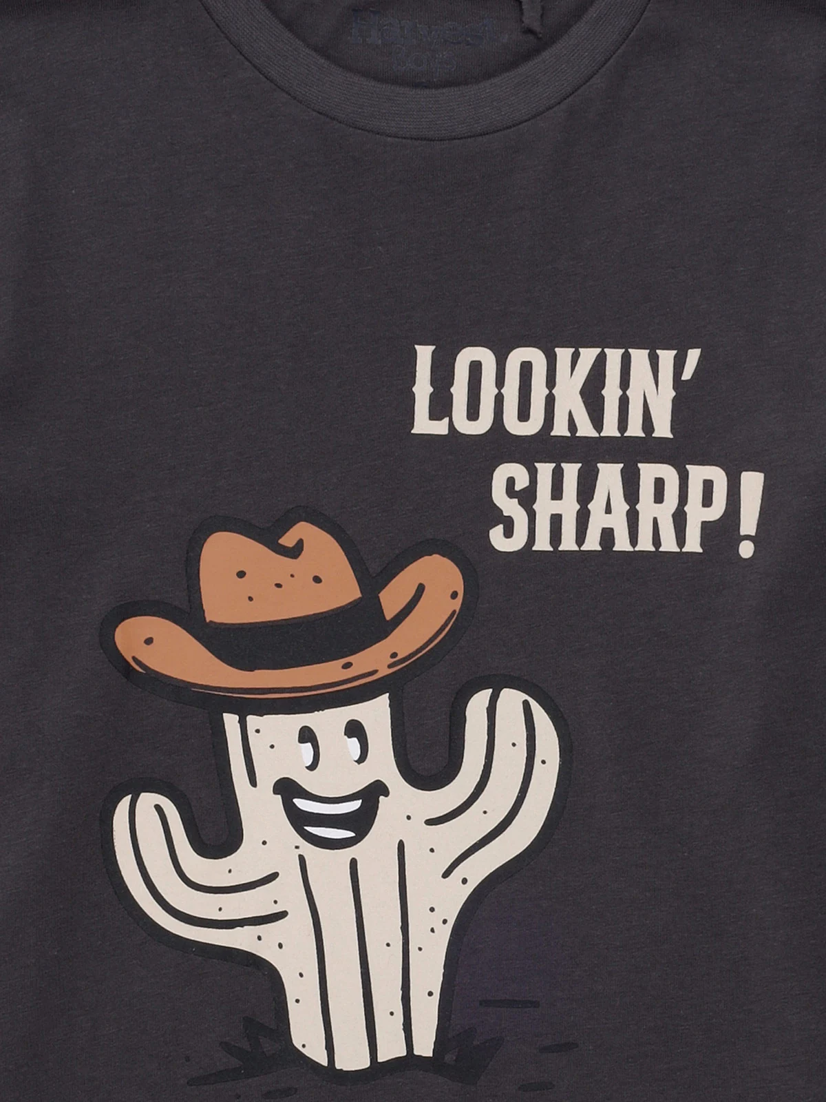 POLERA MANGA LARGA NIÑO HARVEST - 3