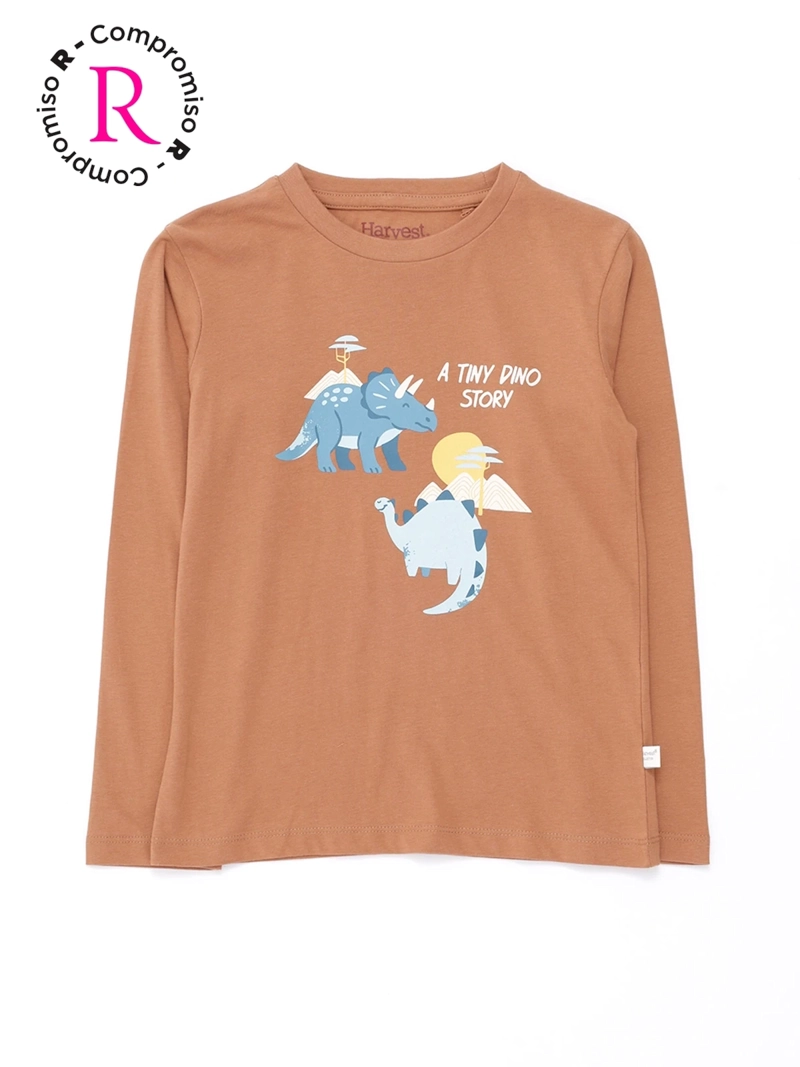 POLERA MANGA LARGA NIÑO HARVEST - 1