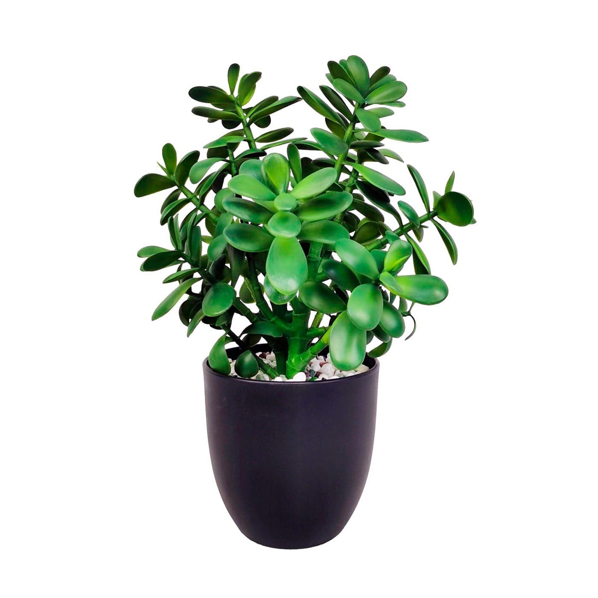 PLANTA DECORATIVA RIPLEY HOME SUCULENTA 40 CM - 1