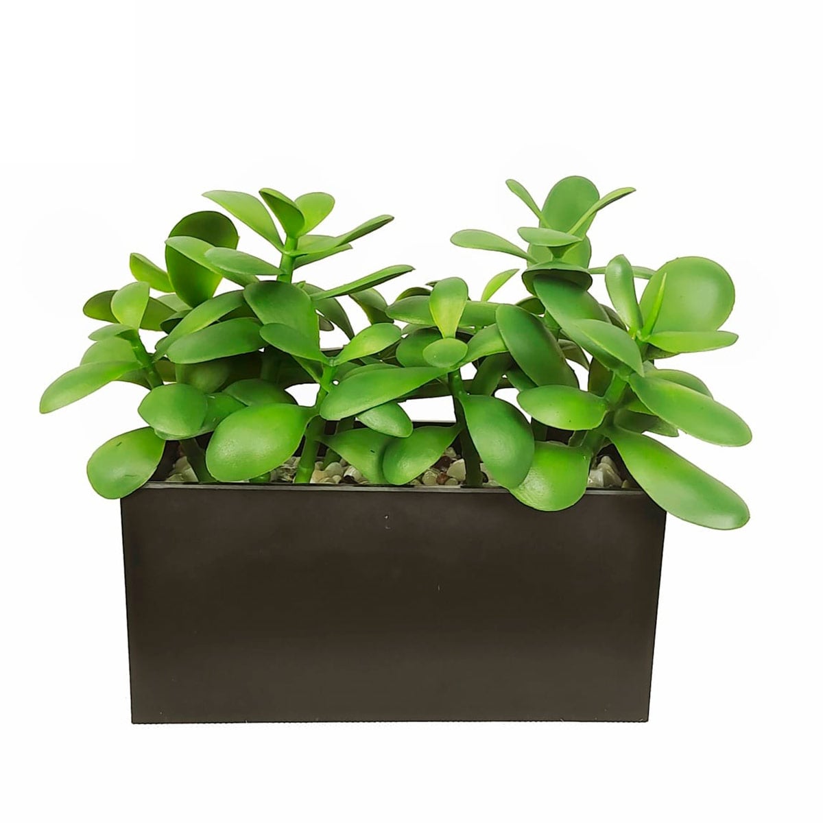 PLANTA DECORATIVA RIPLEY HOME SUCULENTA DUO BASE RECT S - 1