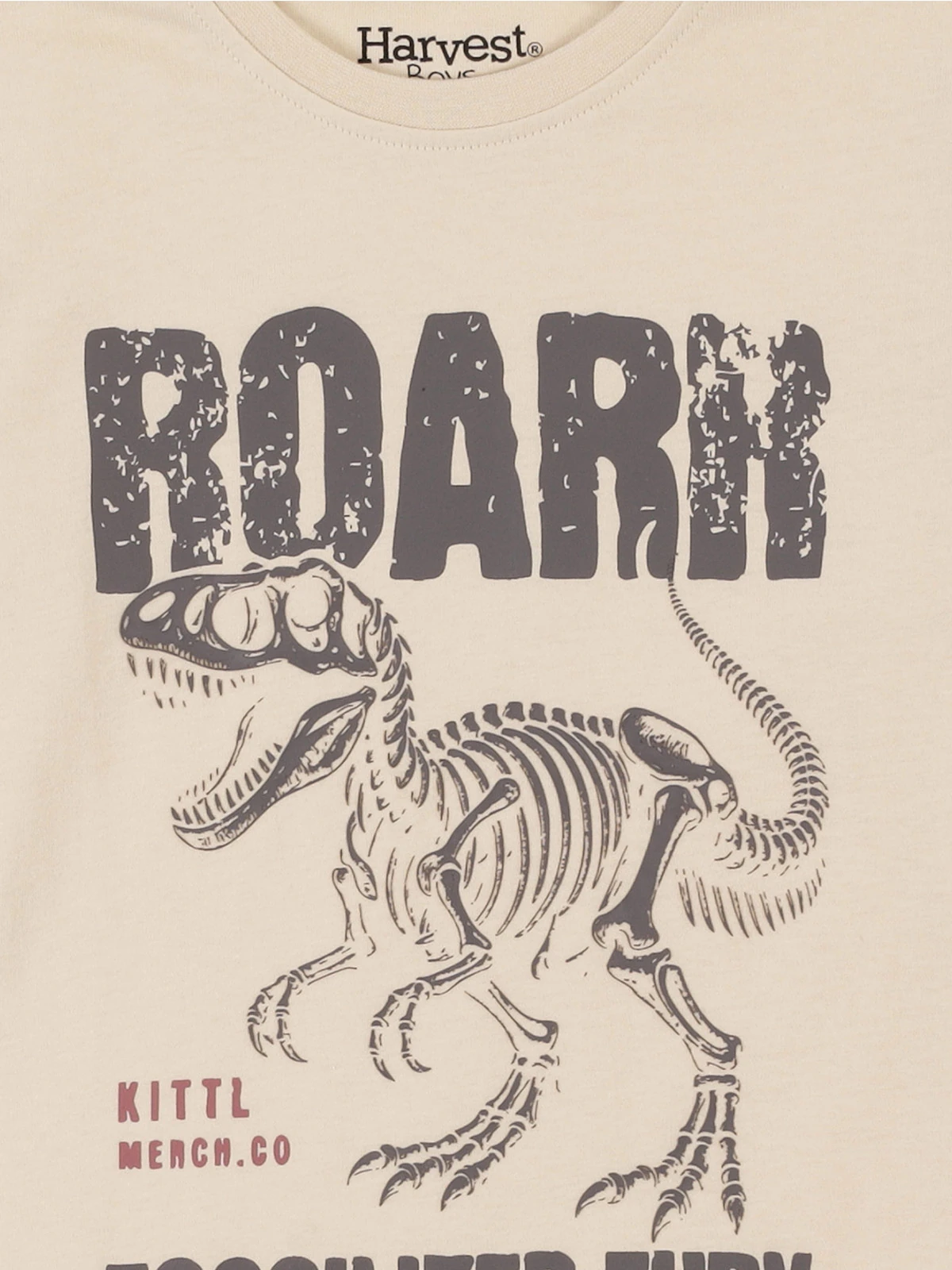 POLERA MANGA LARGA ALGODÓN NIÑO HARVEST DINOSAURIO - 3