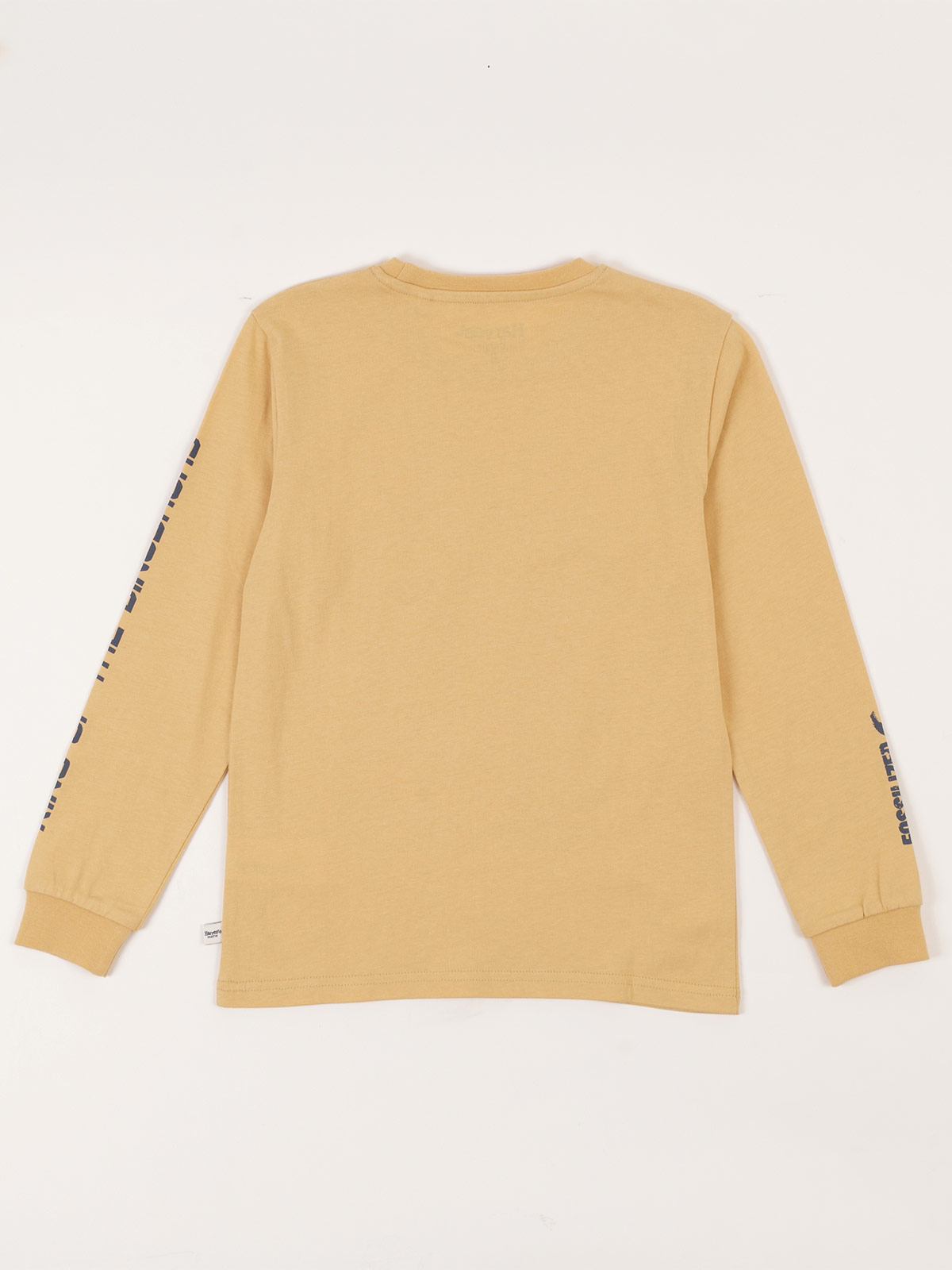 POLERA MANGA LARGA ALGODÓN NIÑO HARVEST DINOSAURIO - 2