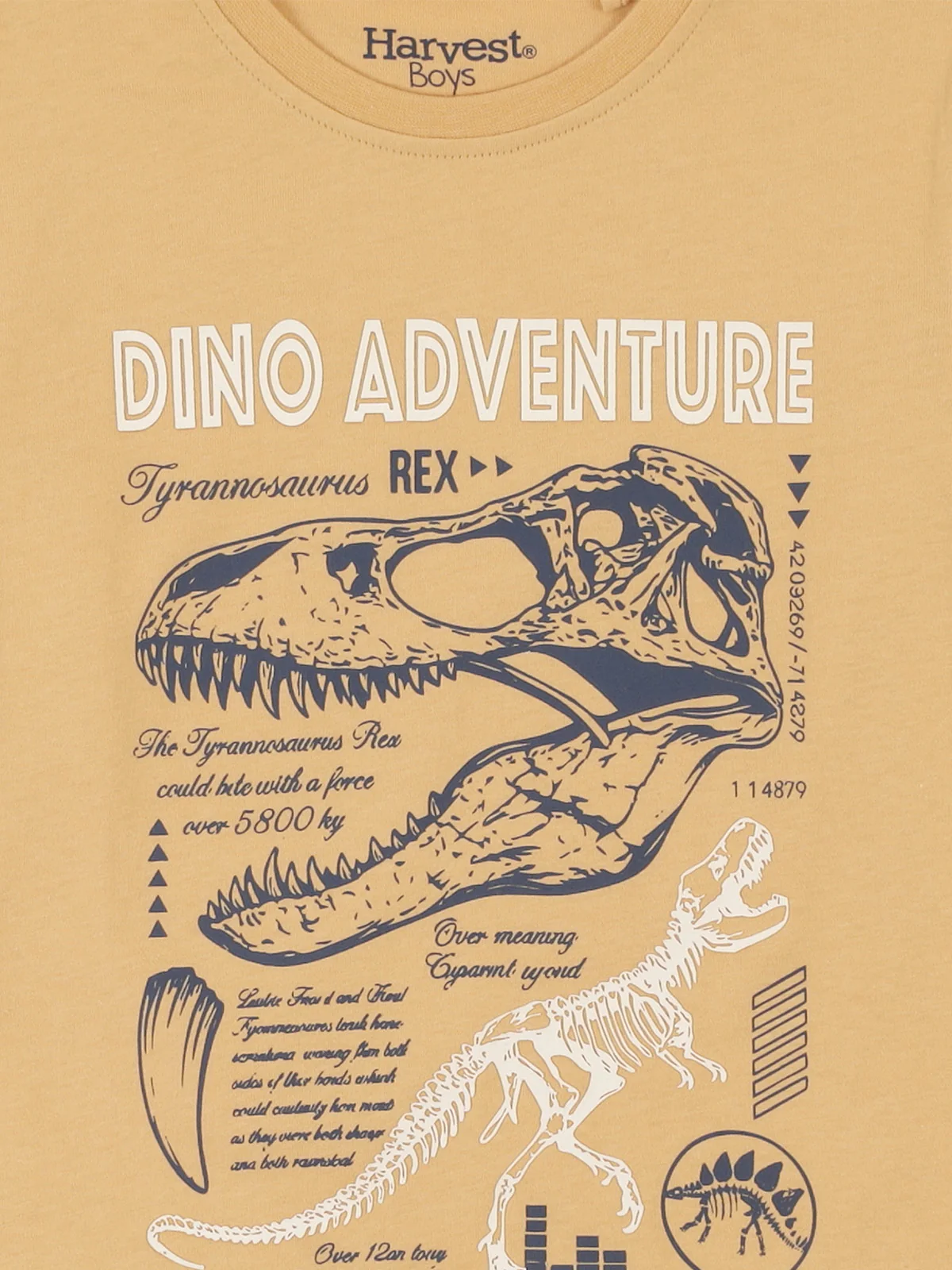 POLERA MANGA LARGA ALGODÓN NIÑO HARVEST DINOSAURIO - 3