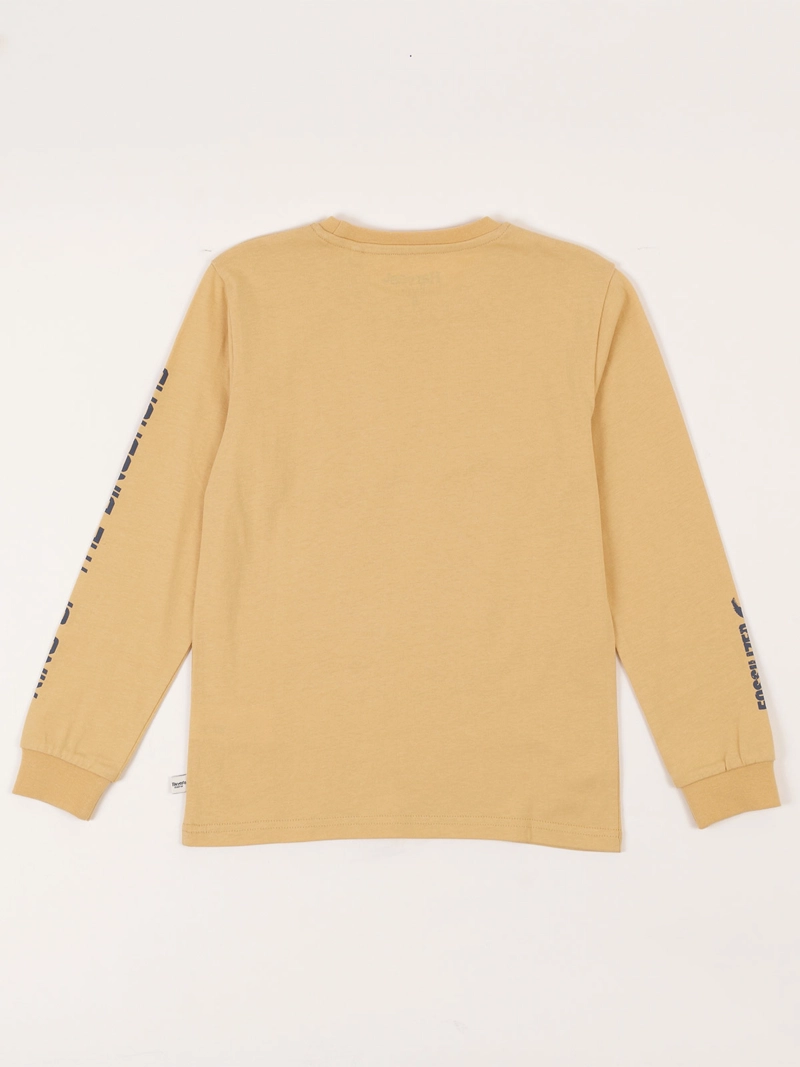 POLERA MANGA LARGA ALGODÓN NIÑO HARVEST DINOSAURIO - 2