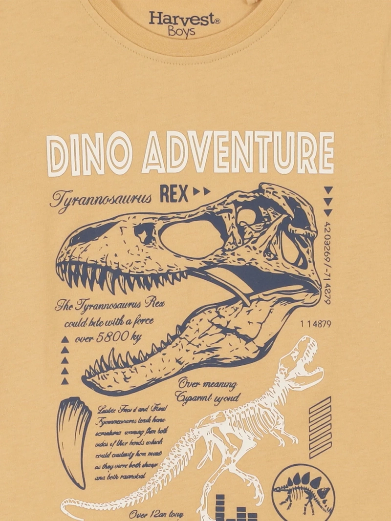 POLERA MANGA LARGA ALGODÓN NIÑO HARVEST DINOSAURIO - 3