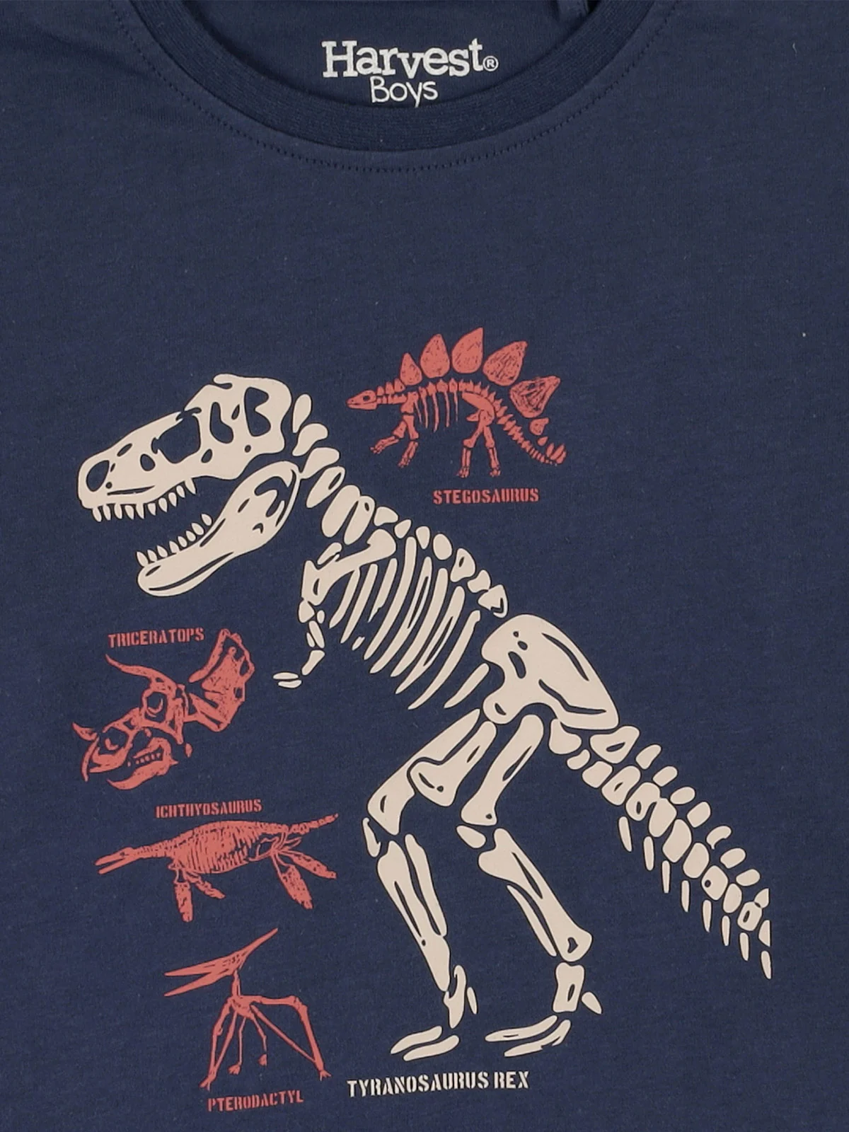 POLERA MANGA LARGA ALGODÓN NIÑO HARVEST DINOSAURIO - 3