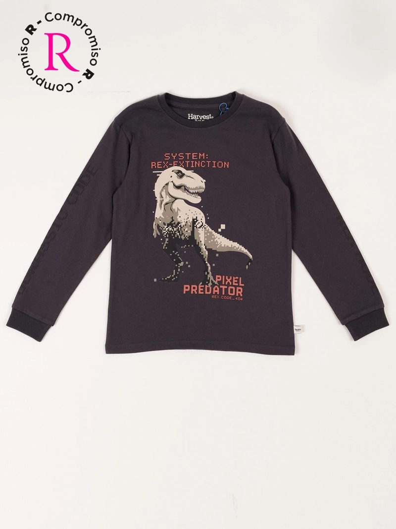 POLERA MANGA LARGA ALGODÓN NIÑO HARVEST DINOSAURIO - 1