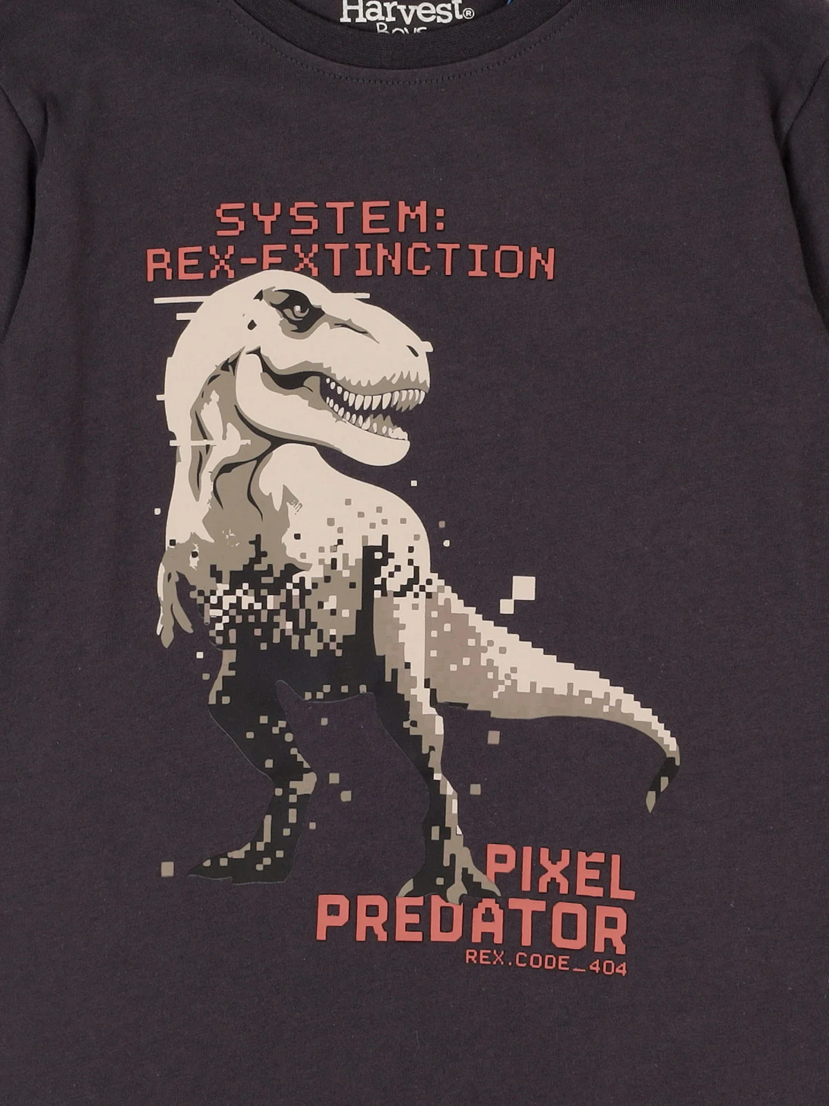 POLERA MANGA LARGA ALGODÓN NIÑO HARVEST DINOSAURIO - 3