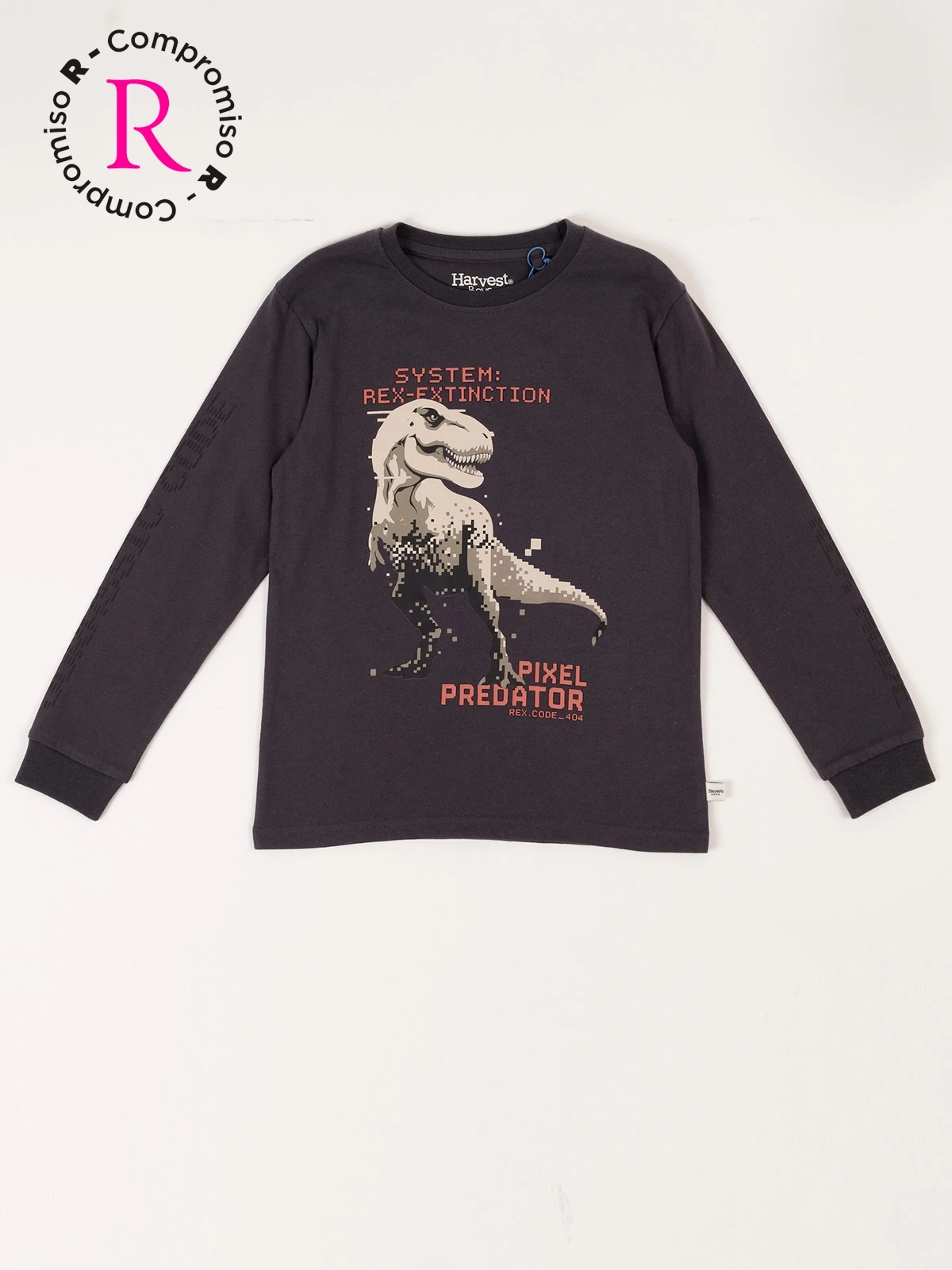 POLERA MANGA LARGA ALGODÓN NIÑO HARVEST DINOSAURIO - 1