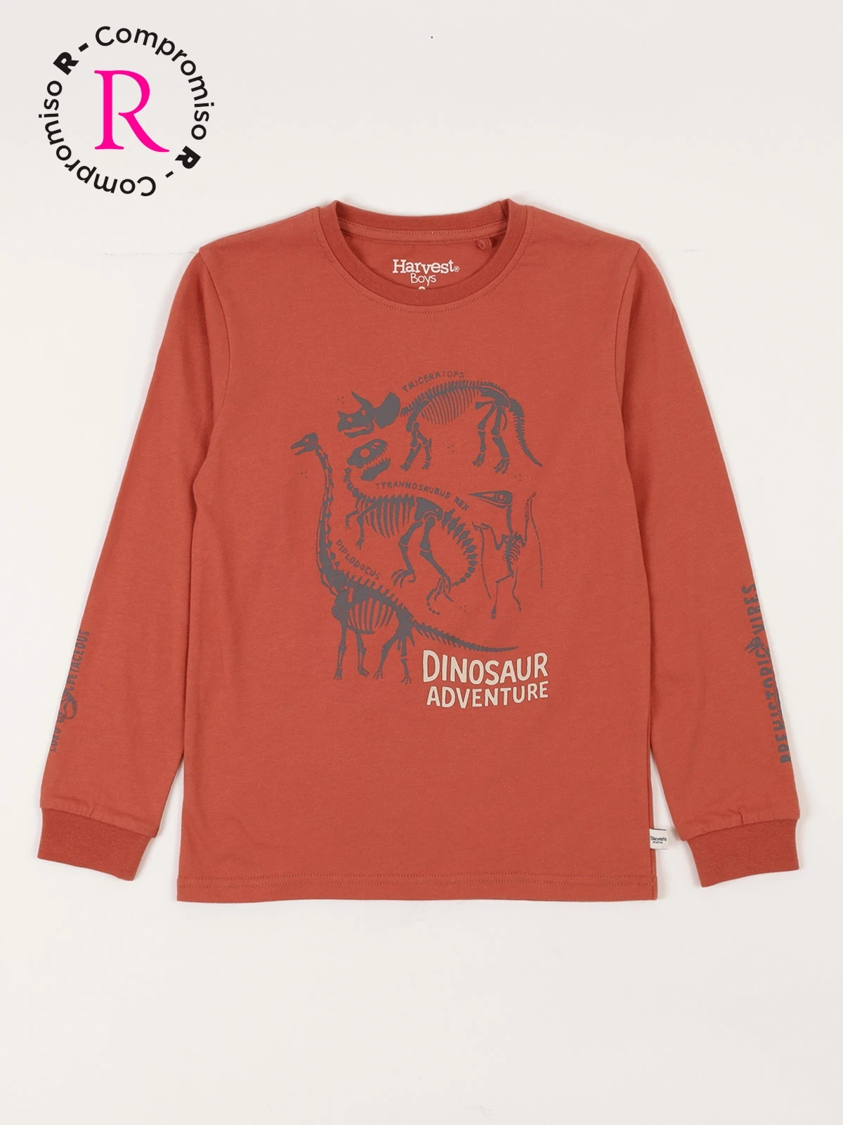 POLERA MANGA LARGA ALGODÓN NIÑO HARVEST DINOSAURIO