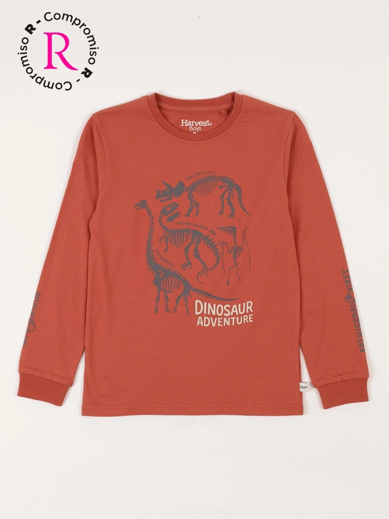 POLERA MANGA LARGA ALGODÓN NIÑO HARVEST DINOSAURIO - 1