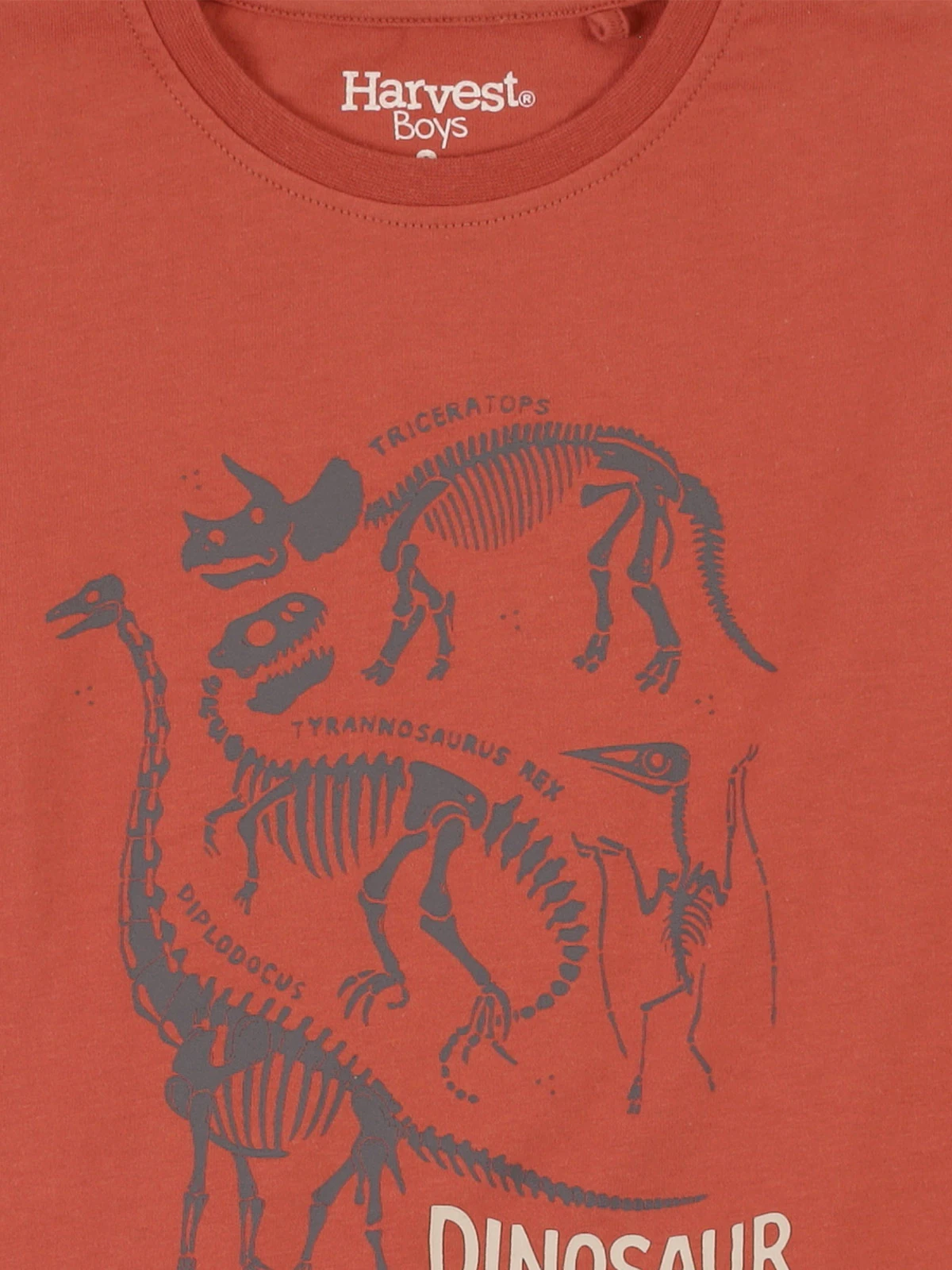 POLERA MANGA LARGA ALGODÓN NIÑO HARVEST DINOSAURIO - 3