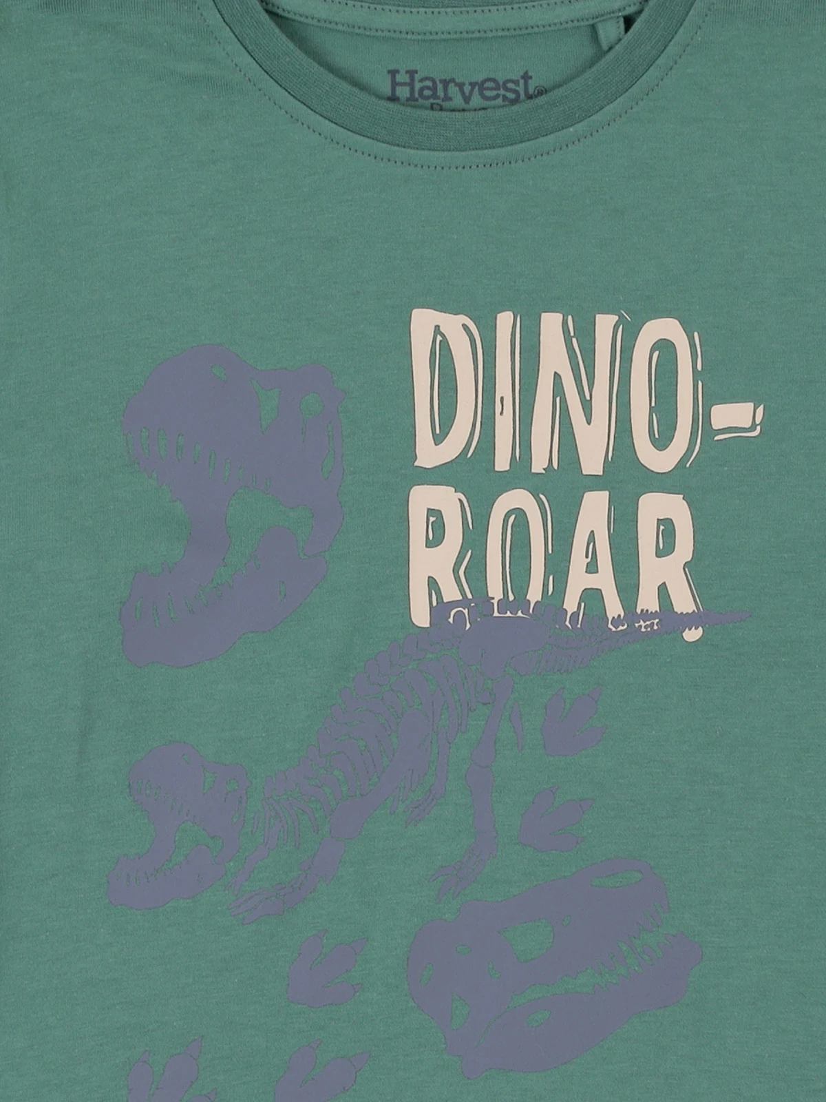 POLERA MANGA LARGA ALGODÓN NIÑO HARVEST DINOSAURIO - 3