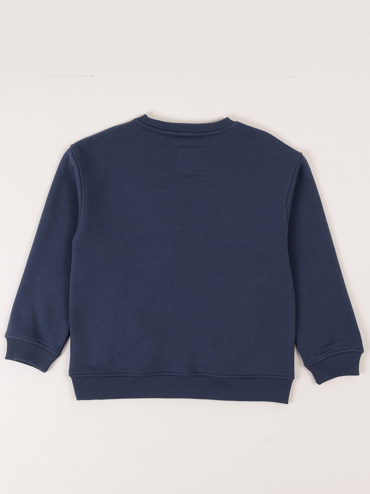 POLERON NIÑO HARVEST REGULAR FIT MANGA LARGA - 2