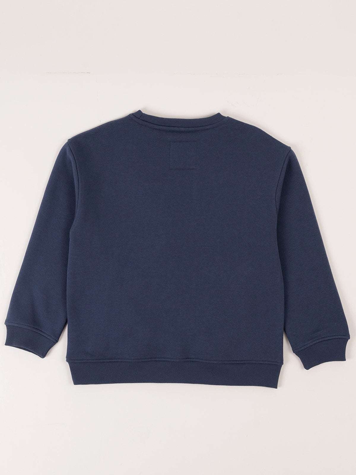 POLERON NIÑO HARVEST REGULAR FIT MANGA LARGA - 2