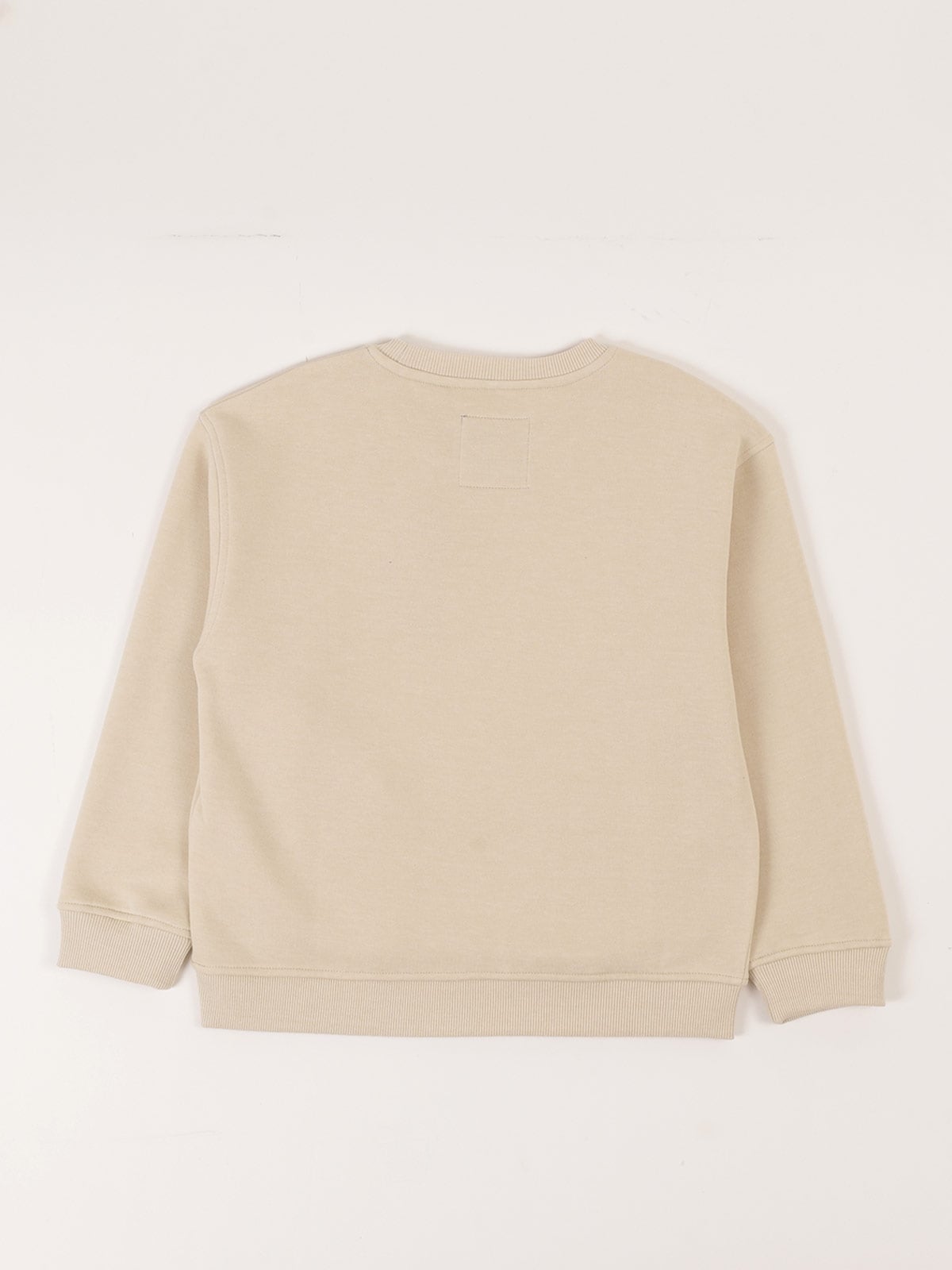 POLERON NIÑO HARVEST REGULAR FIT MANGA LARGA - 2