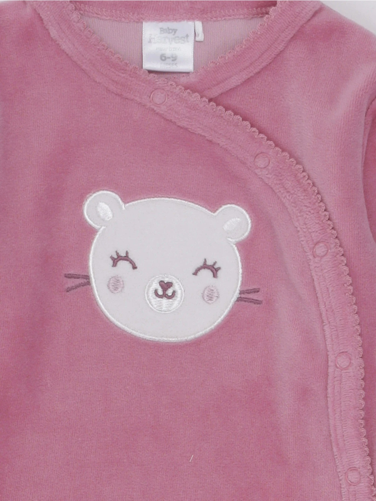 OSITO NIÑA BABY HARVEST PLUSH - 3