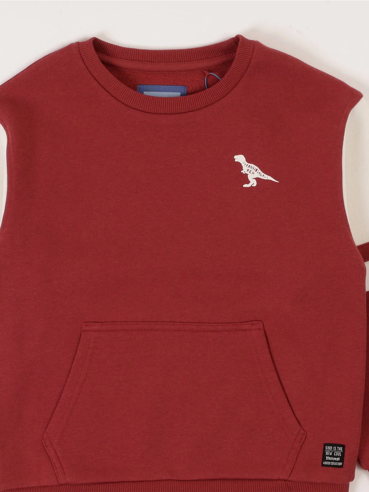 POLERON NIÑO HARVEST REGULAR FIT MANGA LARGA - 3