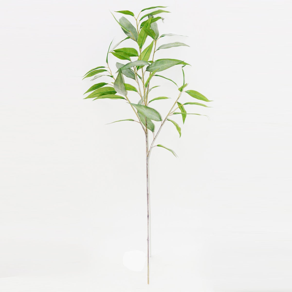 PLANTA DECORATIVA RIPLEY HOME RAMA FOLLAJE OPACO - 1