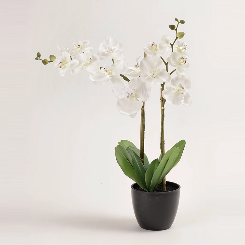PLANTA DECORATIVA RIPLEY HOME ORQUIDIA BLANCA 68 CM - 1