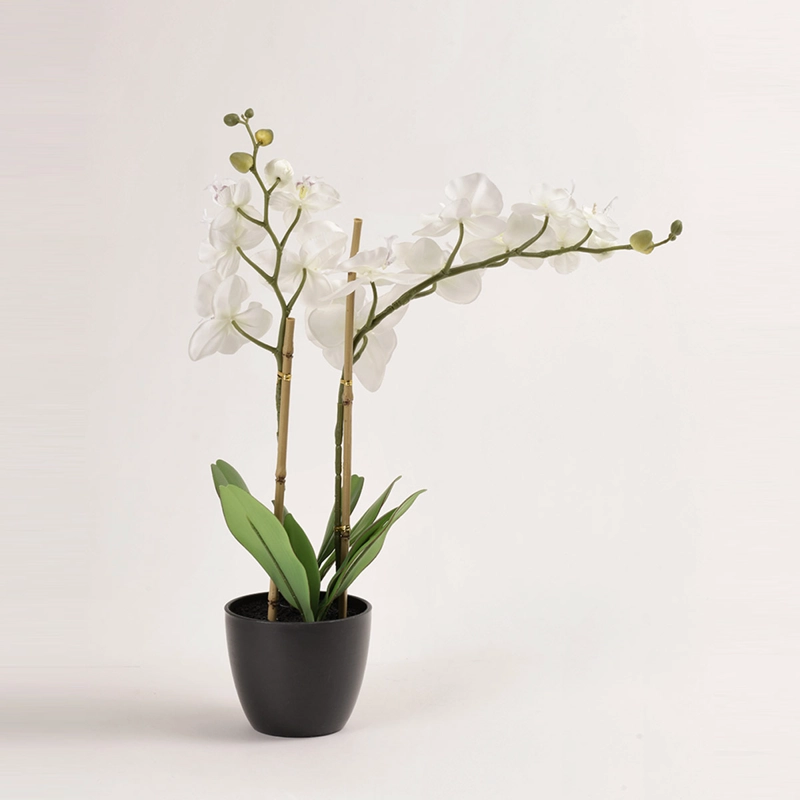 PLANTA DECORATIVA RIPLEY HOME ORQUIDIA BLANCA 68 CM - 2