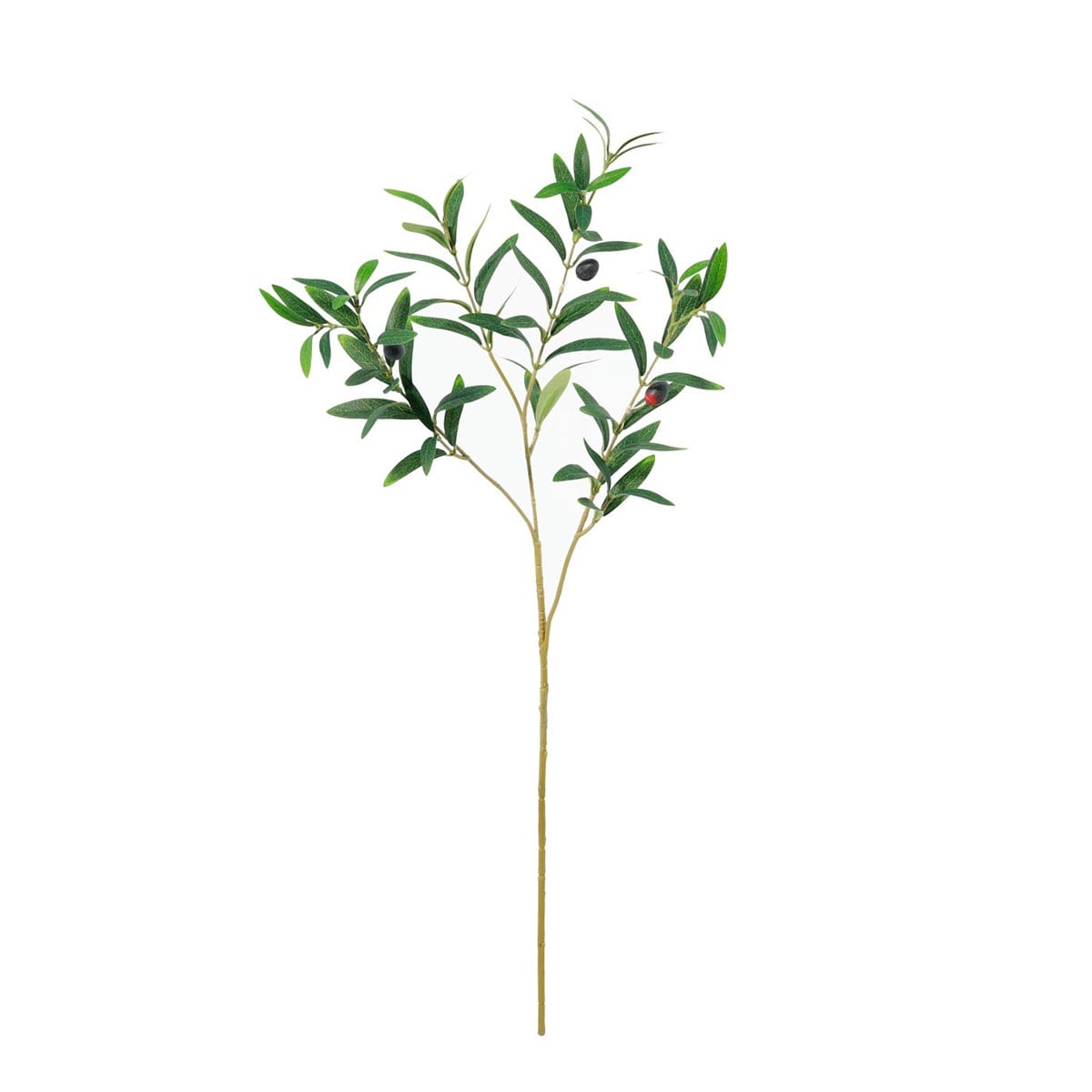 PLANTA DECORATIVA RIPLEY HOME RAMA GRANEL OLIVO - 1