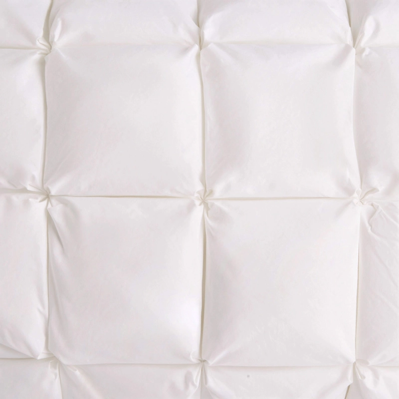 ALMOHADA MAISON LINETT DREAM 3D 50X90 CM - 3