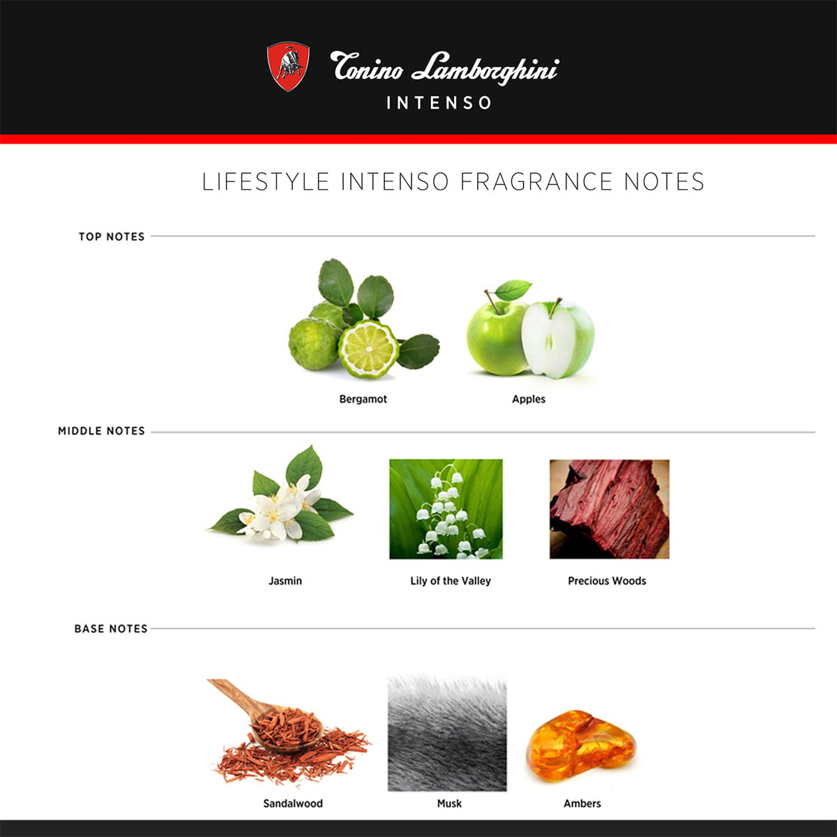PERFUME TONINO LAMBORGHINI HOMBRE PRESTIGIO EDT 15 ML + MÍTICO EDT 15 ML + INTENSO EDT 15 ML + ACQUA EDT 15 ML - 4