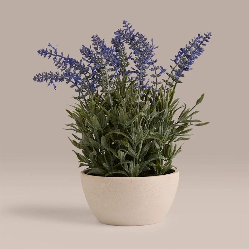 PLANTA DECORATIVA RIPLEY HOME MACETA LAVANDA - 1