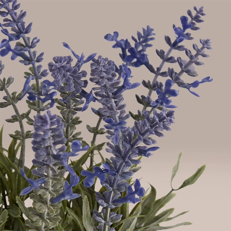 PLANTA DECORATIVA RIPLEY HOME MACETA LAVANDA - 2