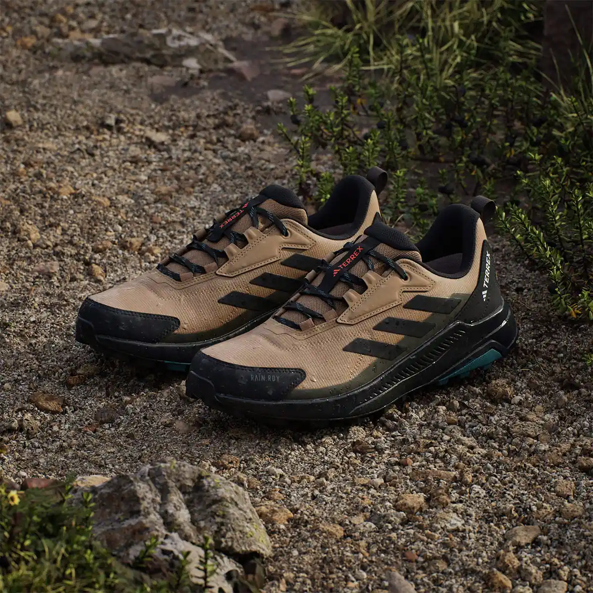 ZAPATILLAS HOMBRE ADIDAS TERREX TREKKING CAFÉ ANYLANDER RAIN.DRY - 9