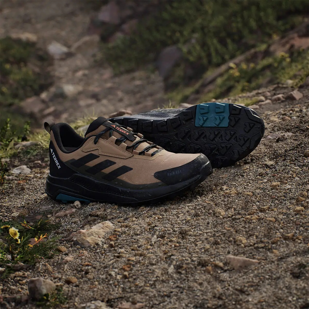 ZAPATILLAS HOMBRE ADIDAS TERREX TREKKING CAFÉ ANYLANDER RAIN.DRY - 10