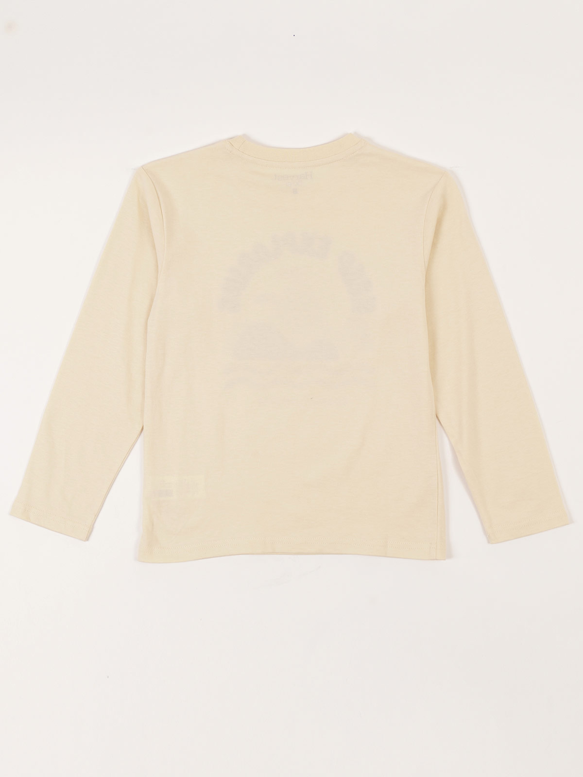 POLERA MANGA LARGA NIÑO HARVEST - 2