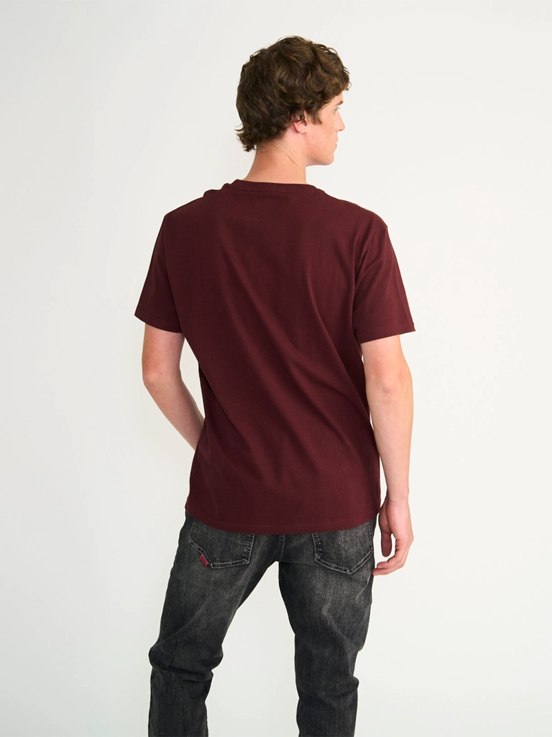 POLERA HOMBRE ELLUS ALGODÓN  - 2