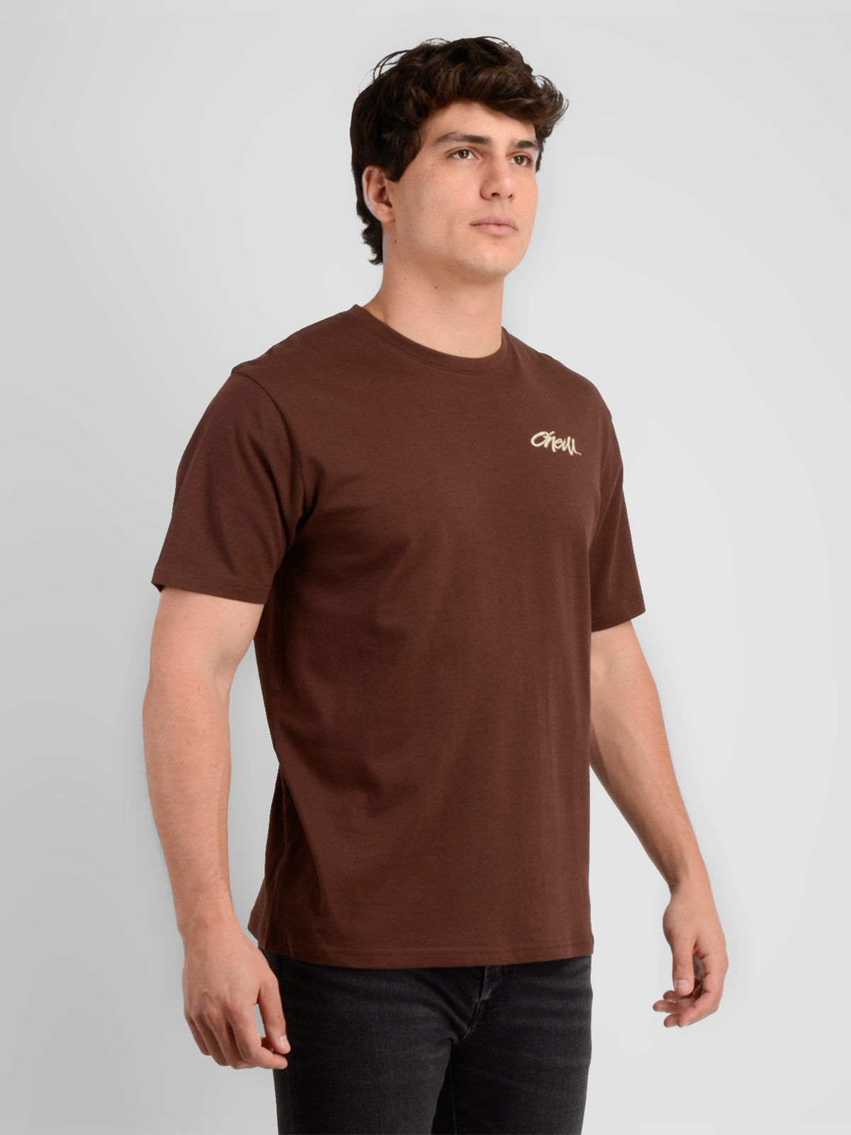 POLERA HOMBRE O'NEILL ALGODÓN MANGA CORTA - 3