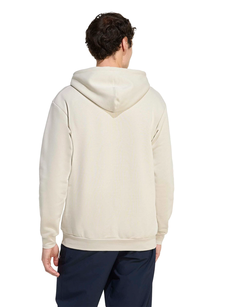 POLERÓN HOMBRE ADIDAS TERREX CAPUCHA - 2