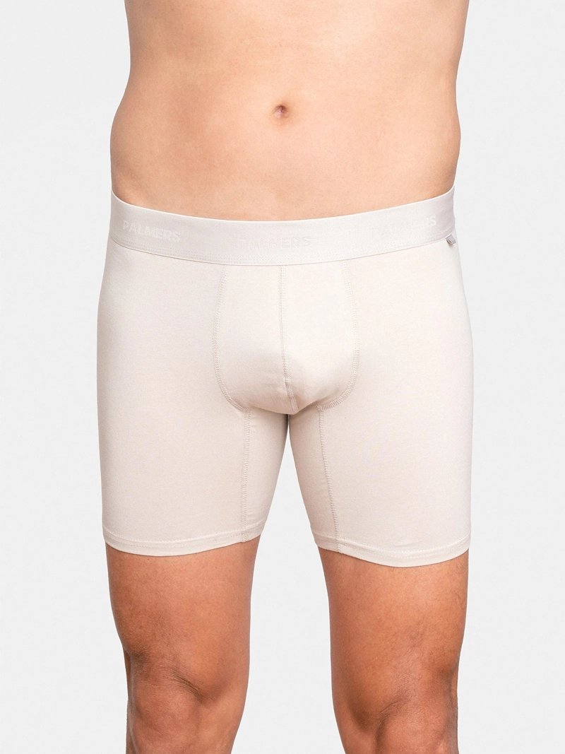 PACK X5 BÓXER HOMBRE PALMERS ALGODÓN  - 2