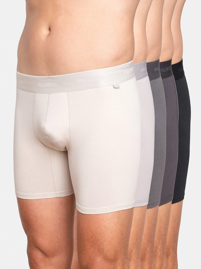 PACK X5 BÓXER HOMBRE PALMERS ALGODÓN  - 1