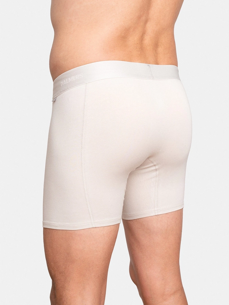 PACK X5 BÓXER HOMBRE PALMERS ALGODÓN  - 3