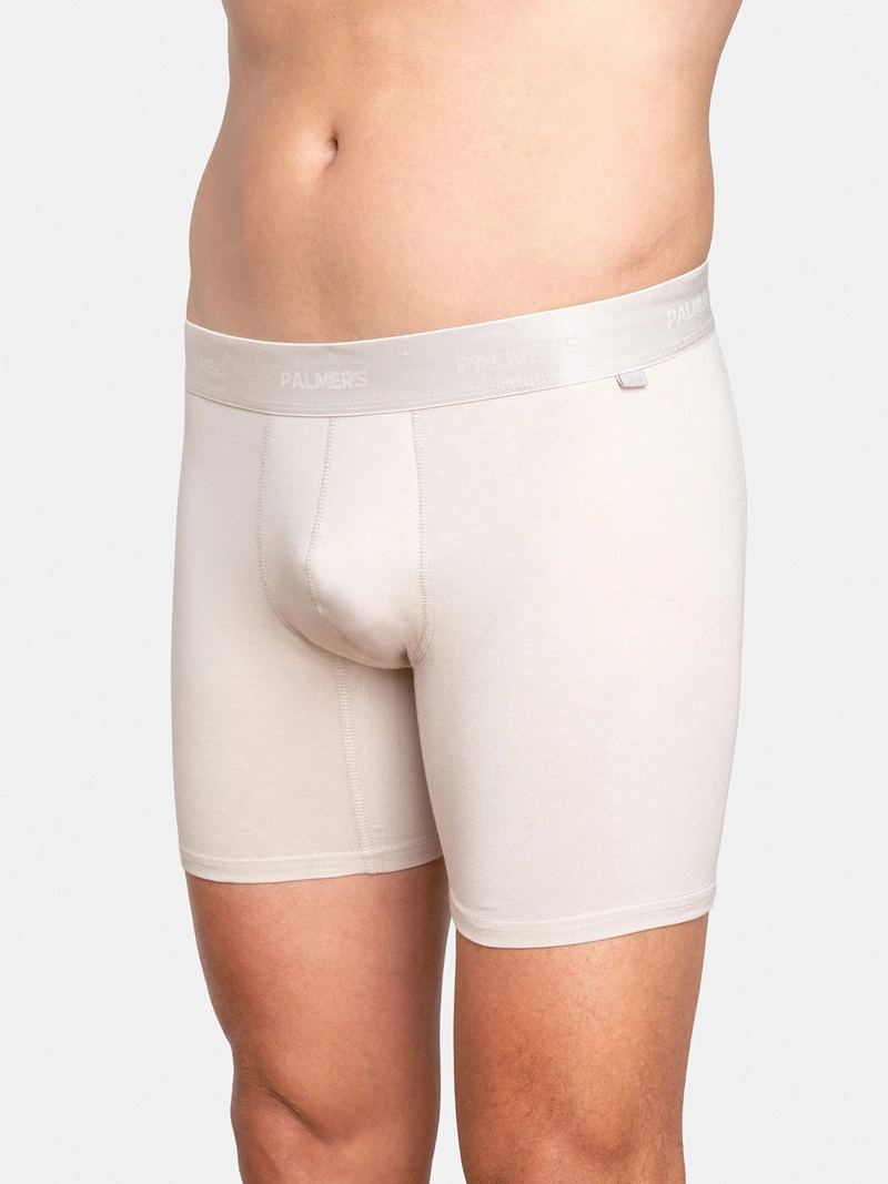 PACK X5 BÓXER HOMBRE PALMERS ALGODÓN  - 4