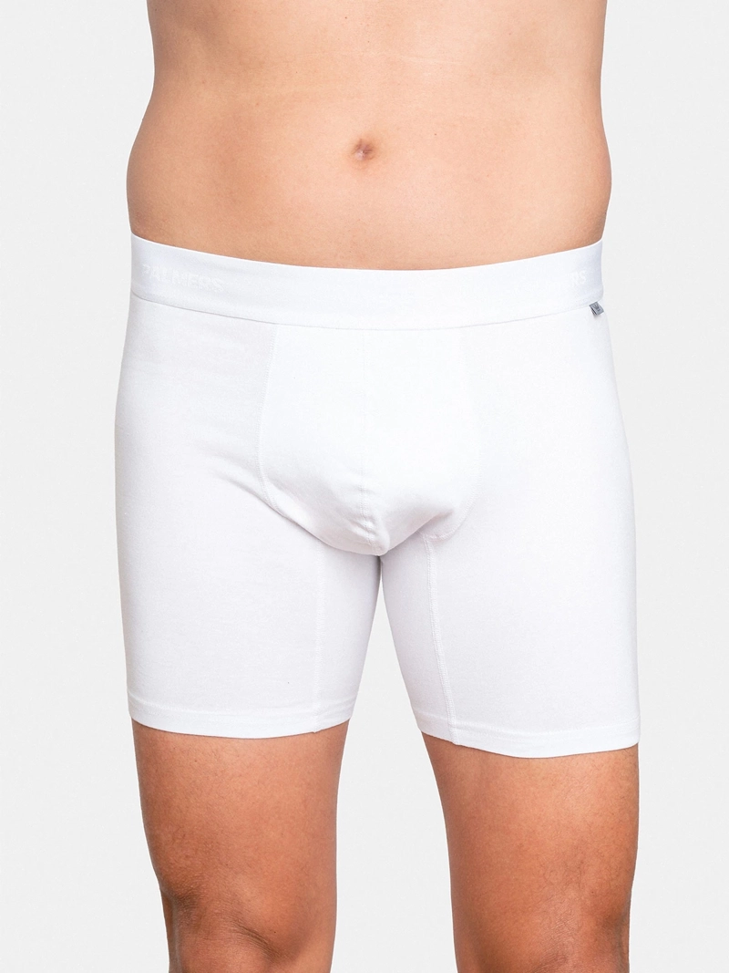 PACK X5 BÓXER HOMBRE PALMERS ALGODÓN  - 2
